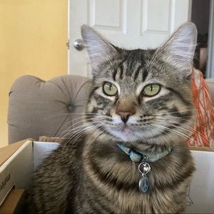 Meet your Posher, Meaghan